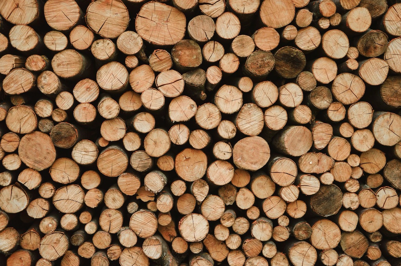 A pile of logs seen from the cut ends